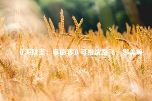《海贼王：奥德赛》可扮演路飞、娜美等多名角色 路飞找金狮子救娜美